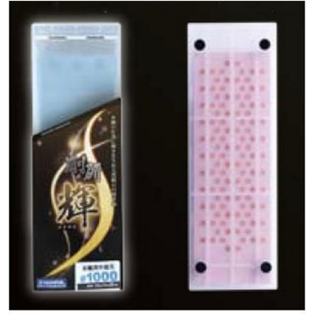 NANIWA professional whetstone Goken Kagayaki #2000 with sharpening stand and storage case 210 x 70 x 20 mm NK-2220