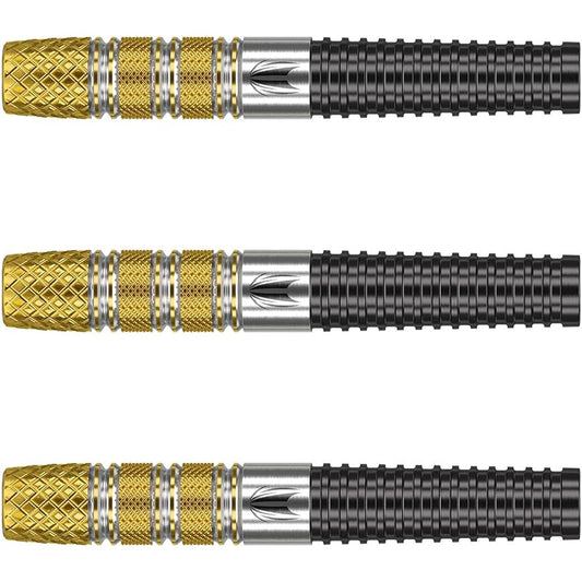 TARGET RVB G4 Generation 4 2BA 20g <210140> Raymond Van Barneveld model darts barrel darts set