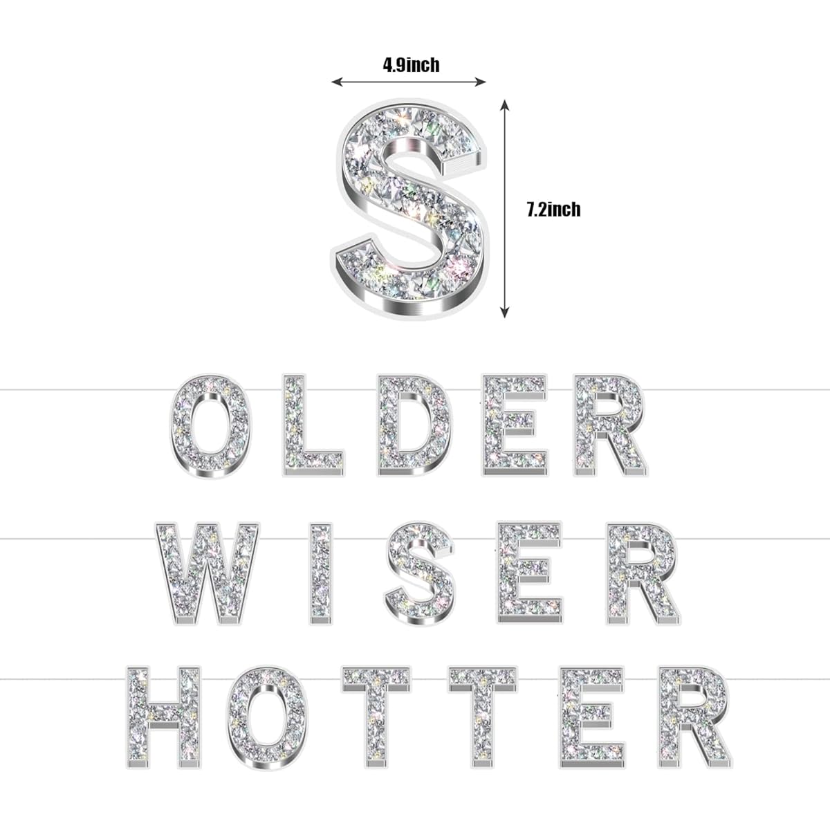 Older Wiser Hotter Glitter Banner - Silver Happy Birthday Banner Fun Birthday Party Decorations Adult Party Supplies 30th Birthday Decoration HBD Gag Gift Photo Booth Backdrop