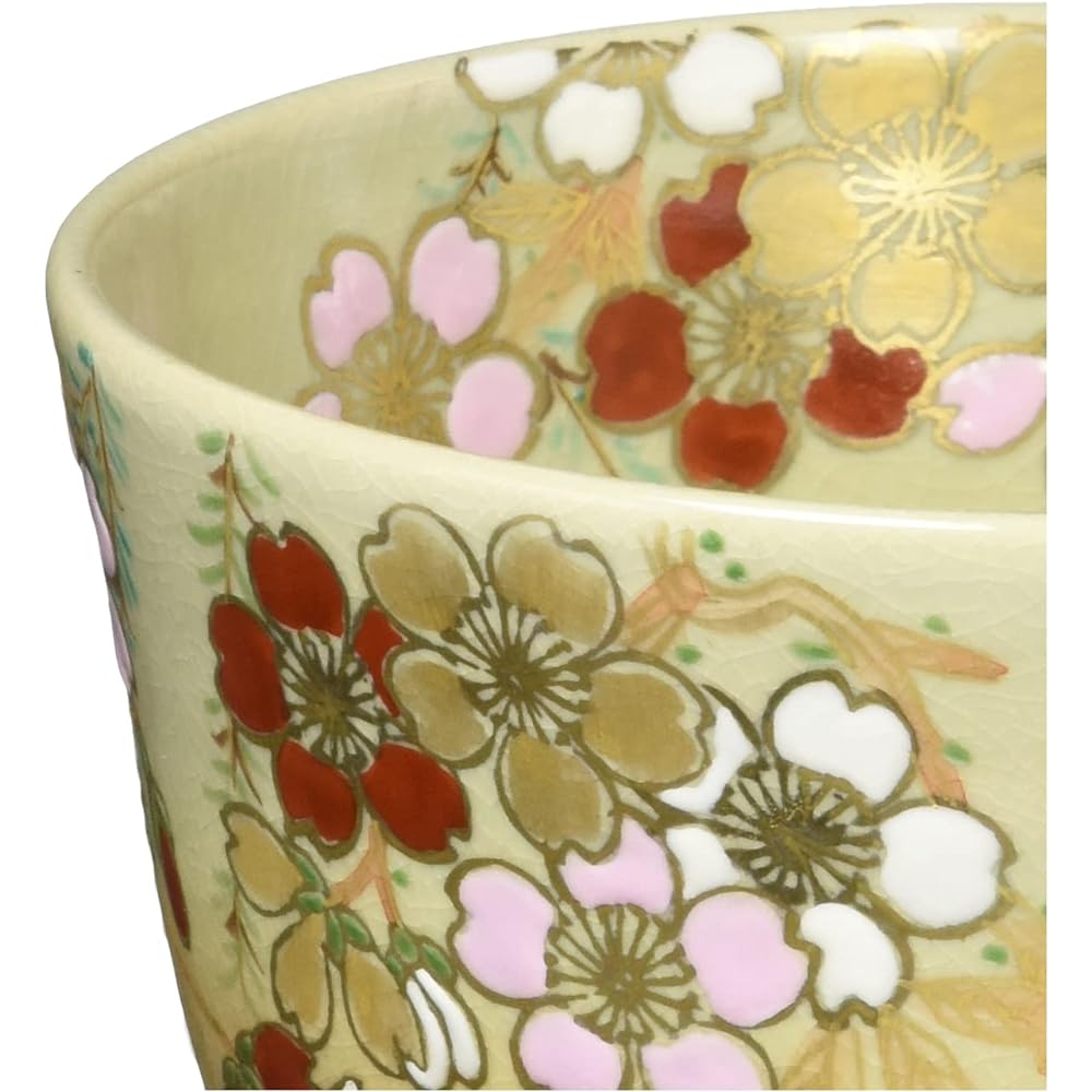 Kyoto ware Kiyomizu ware Nyozan kiln Matcha bowl (in wooden box) Willow and cherry blossoms TJY457