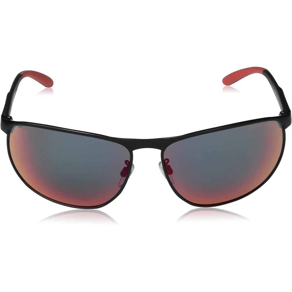 [Emporio Armani] Sunglasses EA2124