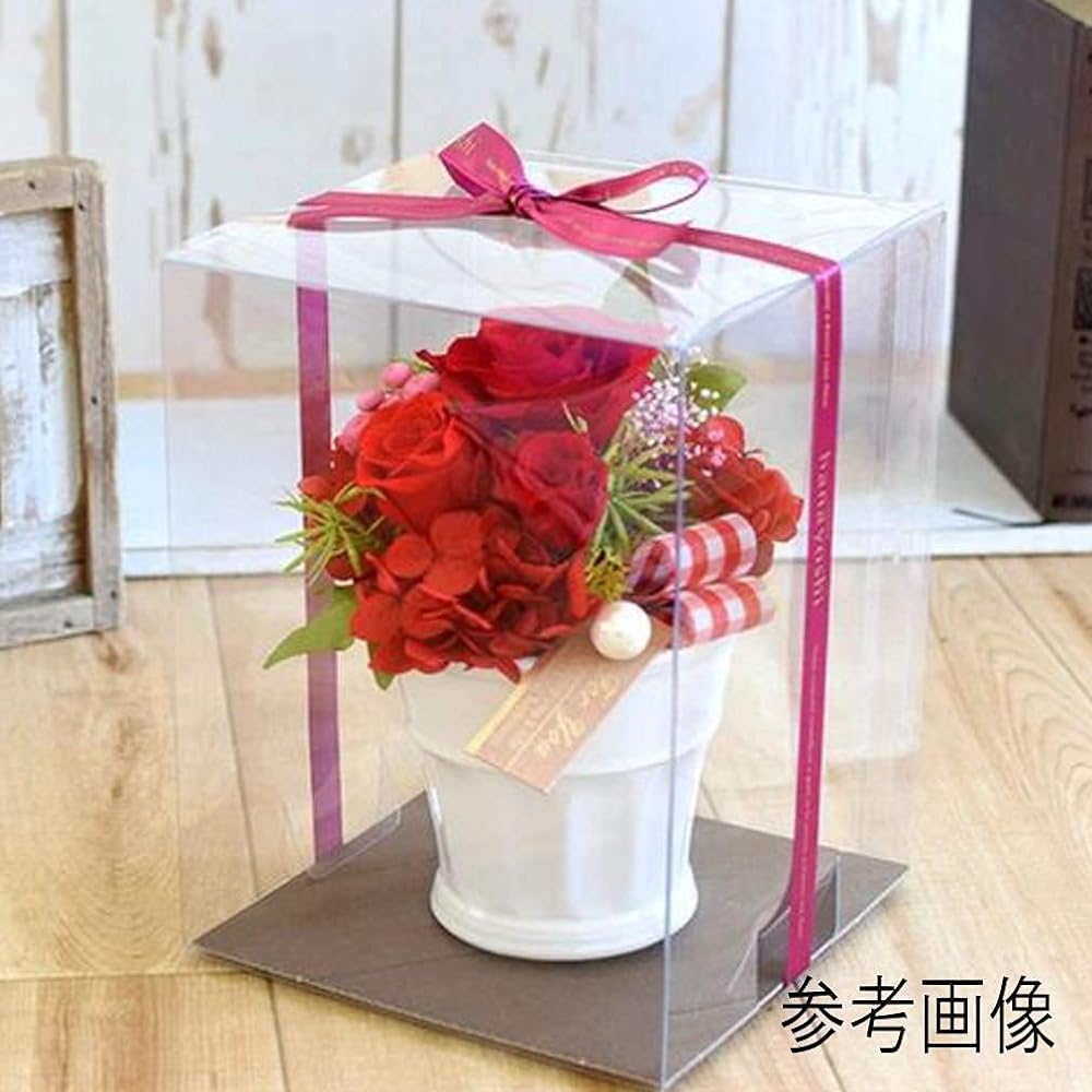 Made in Japan [L25 size 10 pieces] 18cm x 18cm x height 25cm Clear box Clear case Figure case Display case Collection case Flower box Preserved flower Figure Stuffed toy Gift case c0010_10 (10)