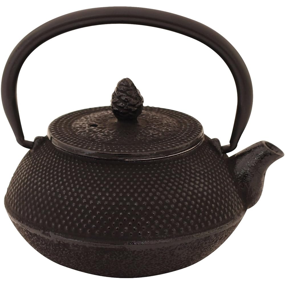 Nanbu Iron Craft Teapot Small 0.3L Hiramatsu Shape Pine OH-413