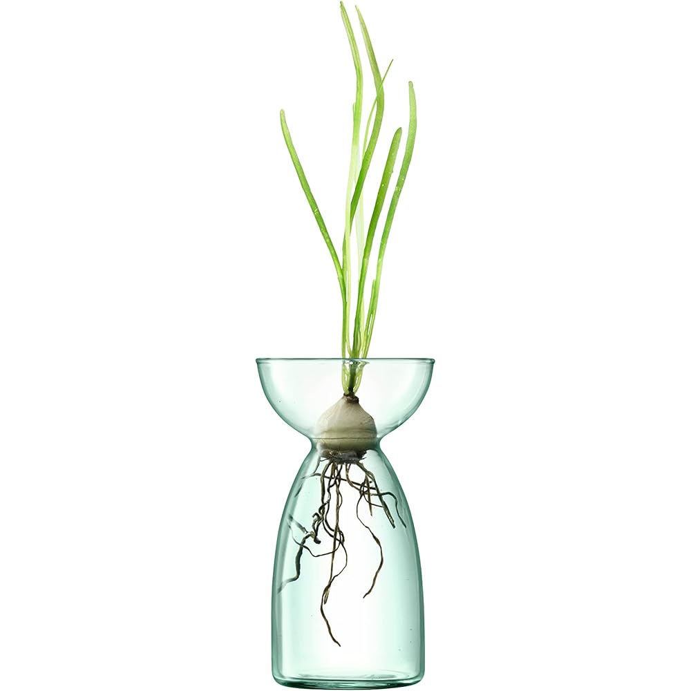 LSA Flower Vase Clear W7xD7xH13cm LSA LCQ07, G1583-00-161