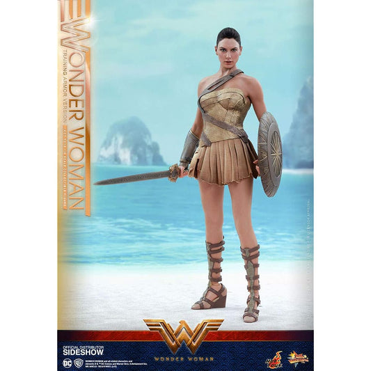 [Movie Masterpiece] "Wonder Woman" 1/6 scale figure Wonder Woman (Training Armor Version)