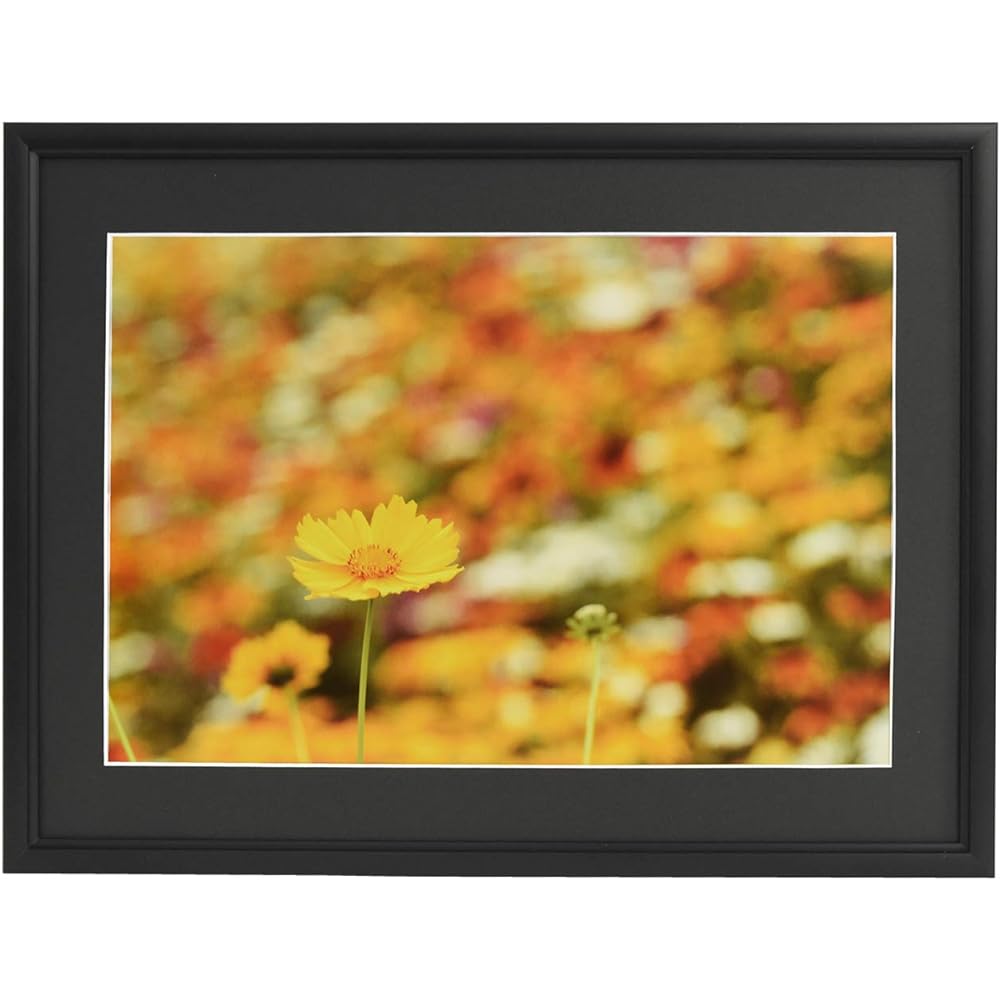 FUJICOLOR Aluminum Picture Frame A33 Half Cut Black 306761