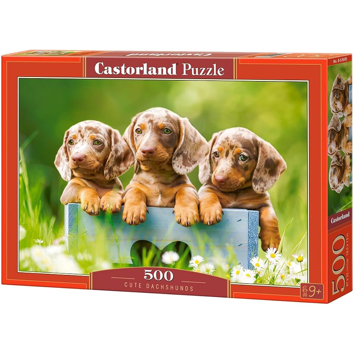 Puzzle 500 pieces: Mignon Teckel