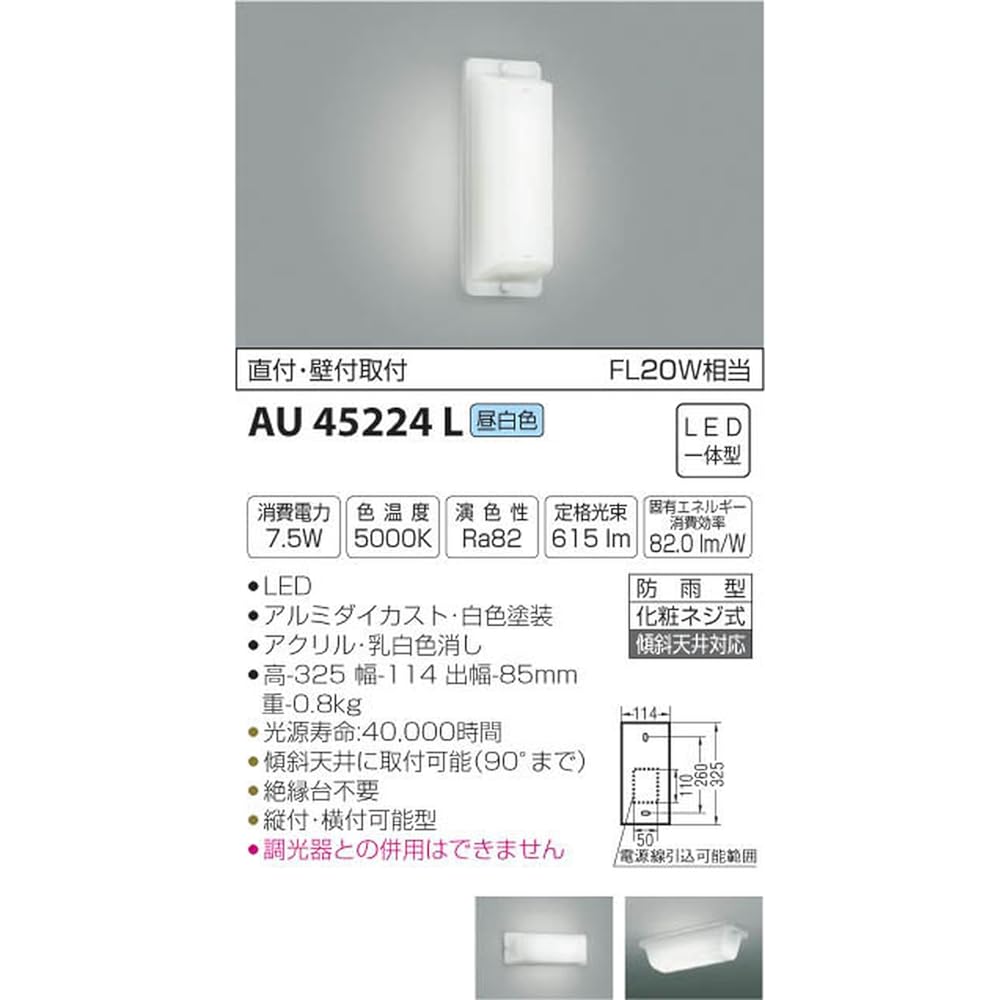 Koizumi Lighting Back Door Light Direct Mount/Wall Mount Neutral White AU45224L
