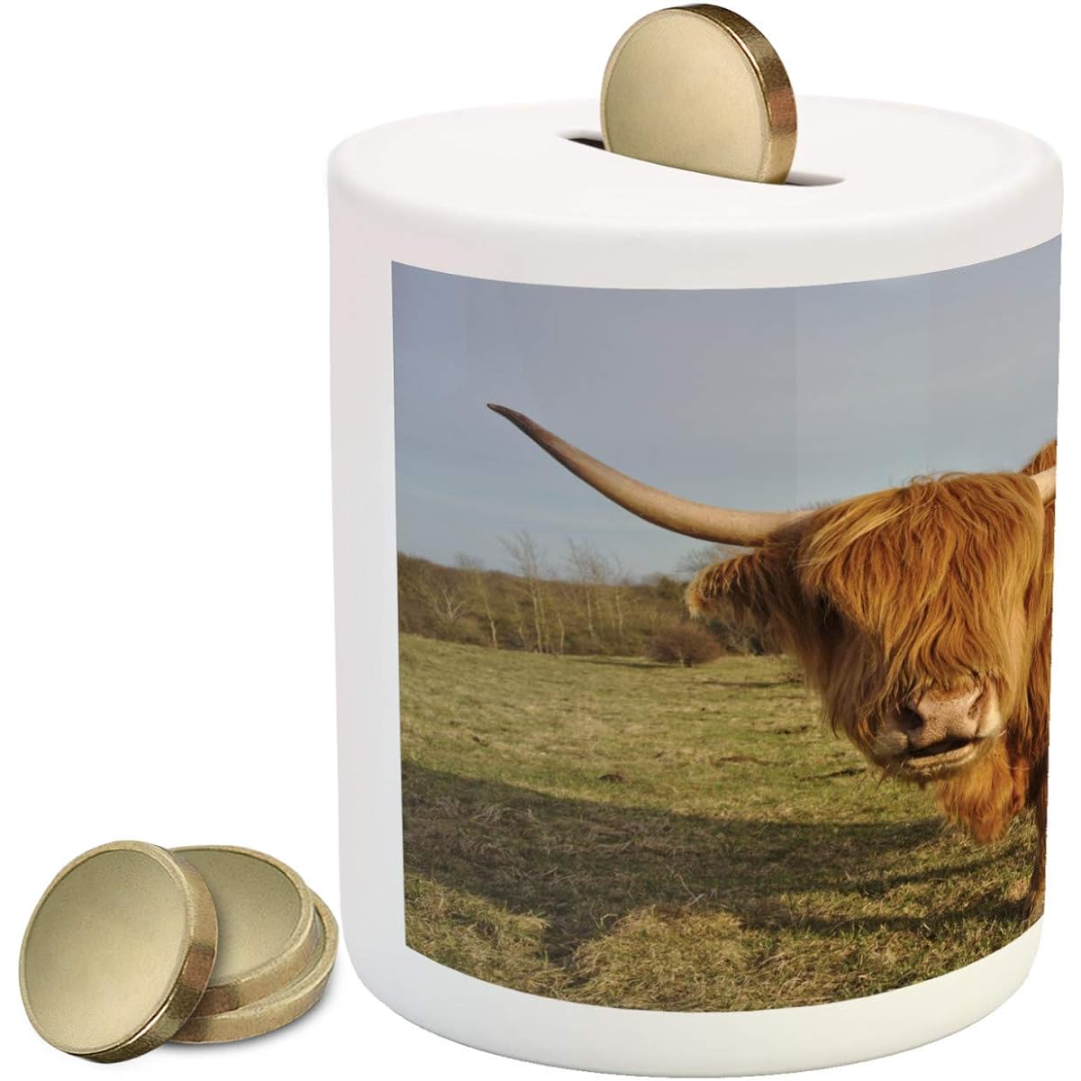 Lunarable Highland Cow Piggy Bank, Wide Angle Portrait Photo of Famous Hairy Scottish Farm Animals on Pasture, Ceramic Money Box for Savings, Multicolor