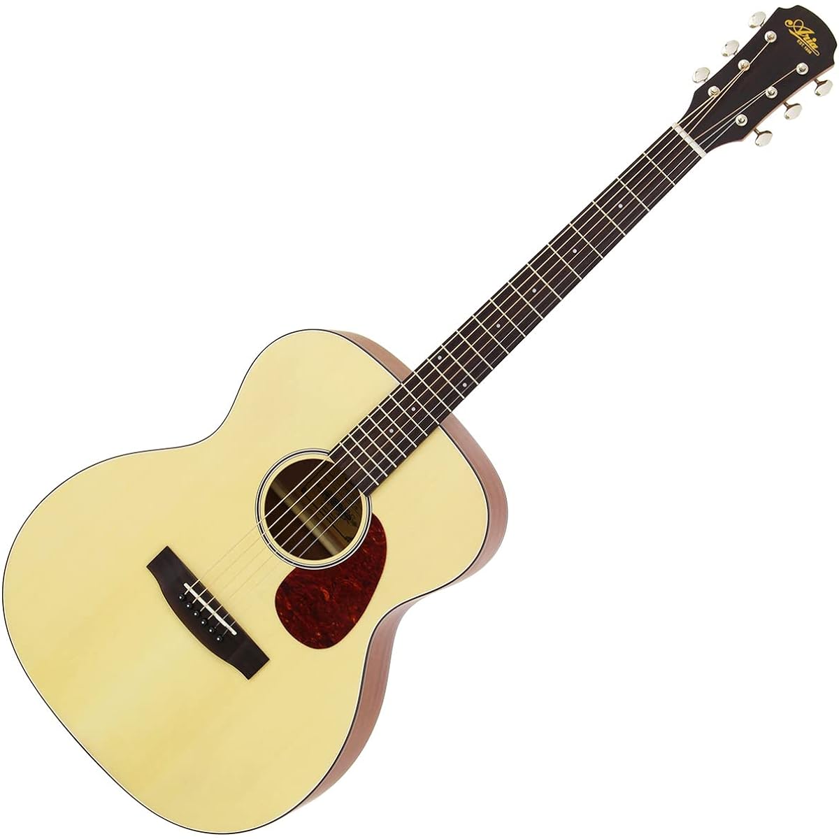 ARIA Aria-101 MTN Acoustic Guitar Beginner Set 12-piece Set Matte Natural Matte Finish Aria