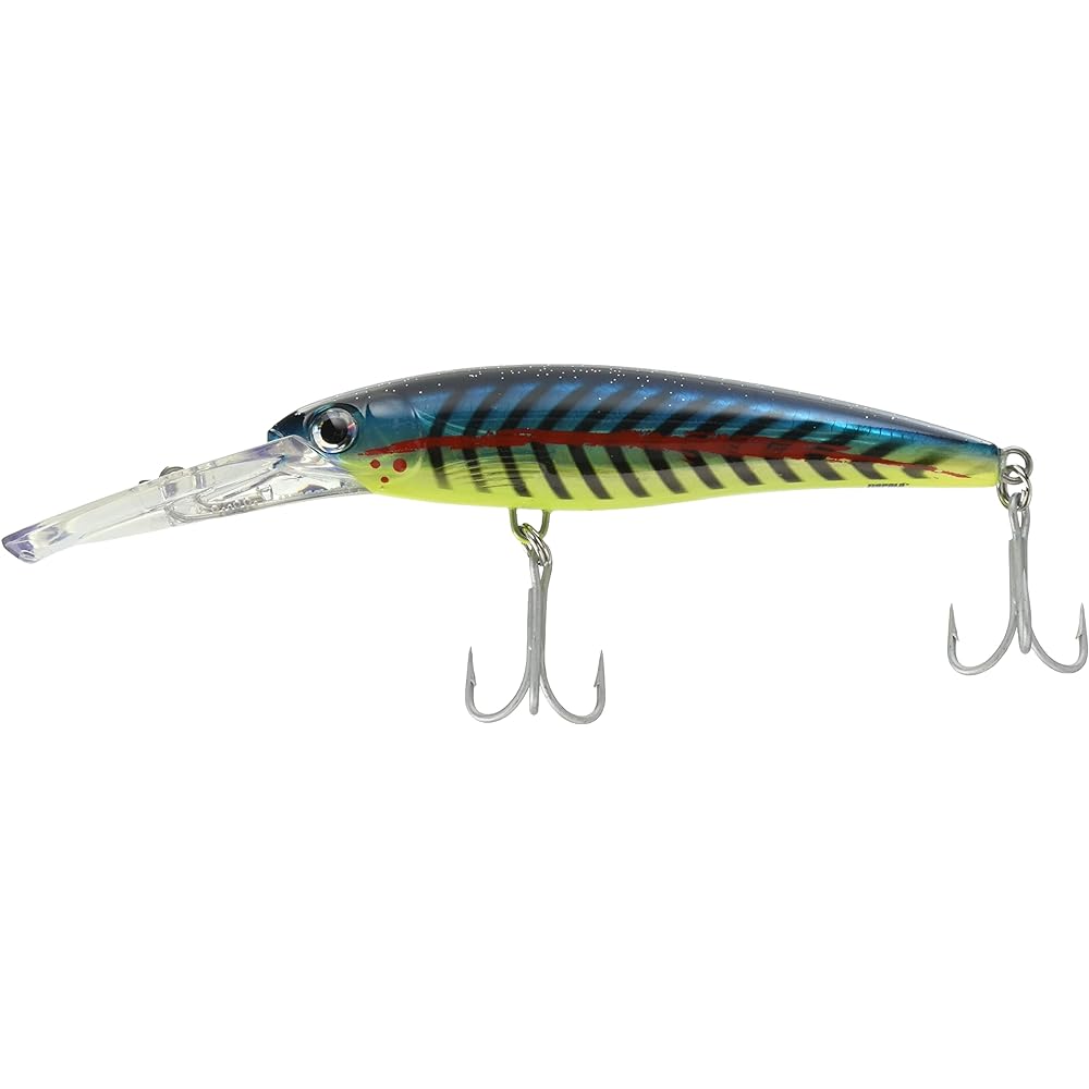 Rapala Minnow X Rap Magnum XRMAG Lure