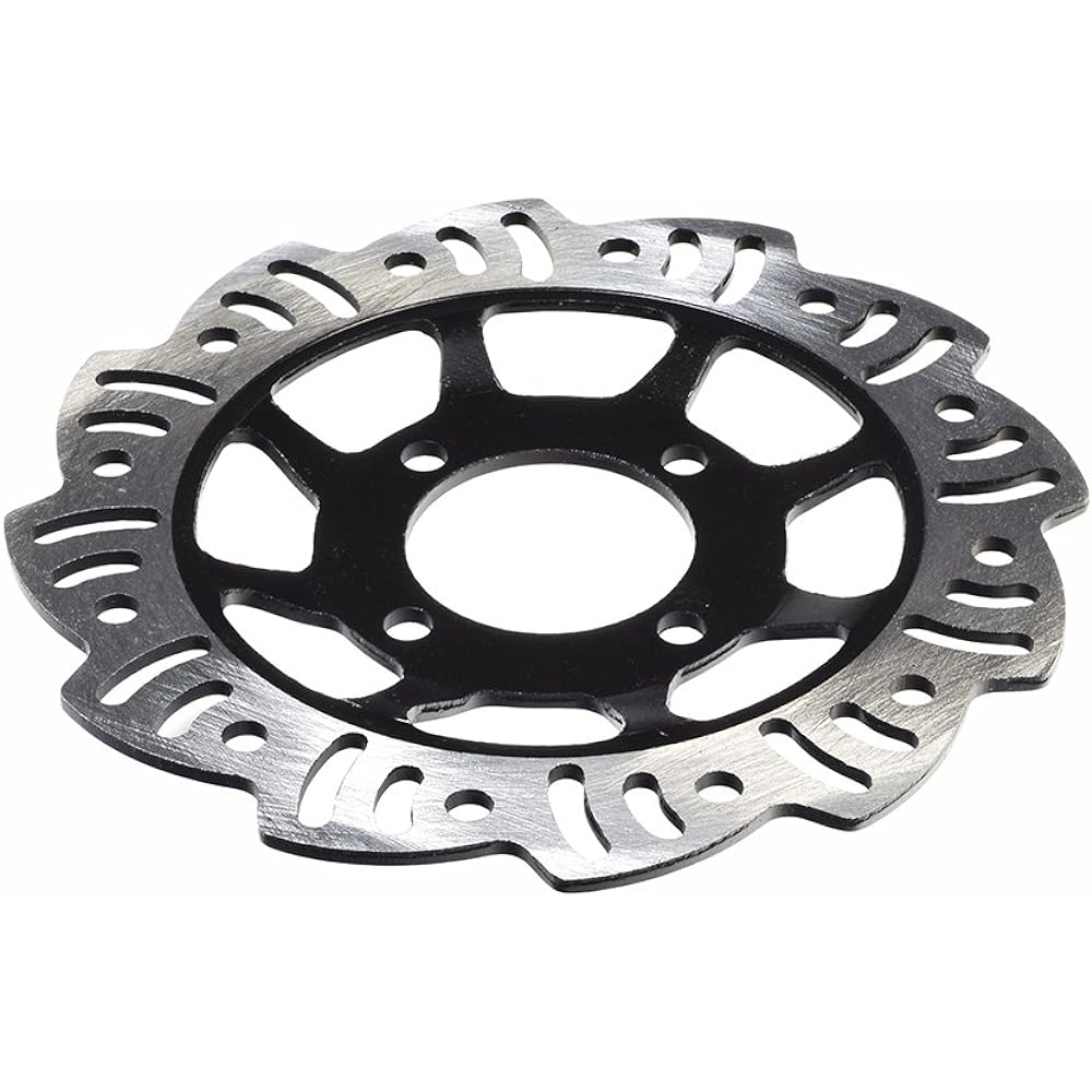 AlveyTech Rear Foot Brake, Disc, Pad, Master Cylinder Assembly for 110cc & 125cc Dirt Bikes