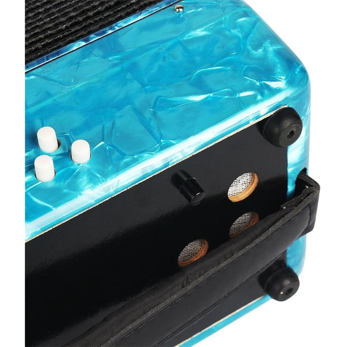 22 Keys Piano Accordion with 8 Basses, Entry Level Keyboard Instrument, for Beginner Students, Attractive and Soft Sound