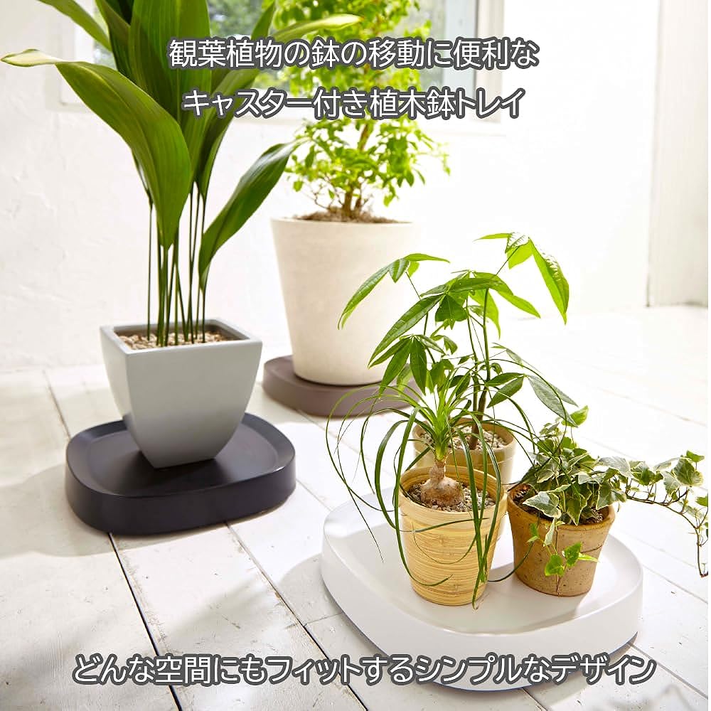 Tidy (Tidy) Convenient Tray with Casters Plantable L White