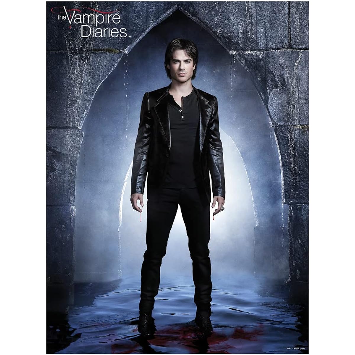 The Vampire Diaries Dark Damon 500 Piece Jigsaw Puzzle for Adults, 16"L x 21.5"W