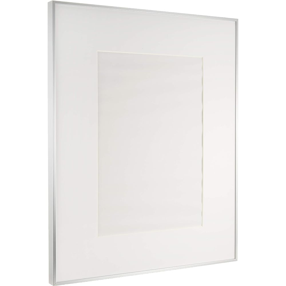 FUJICOLOR Picture Frame Wide Matte Frame A5010 Acrylic Full Paper Aluminum Silver 303593