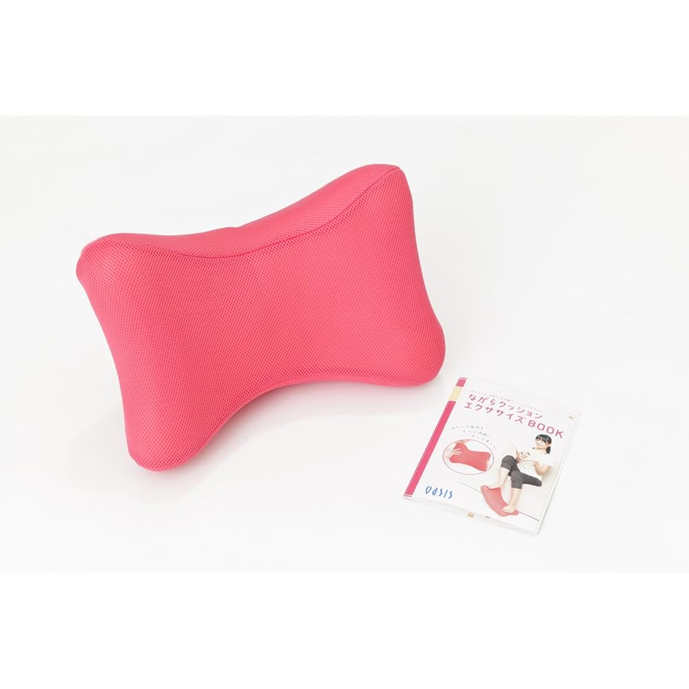 Oasis+ING (Oasis Plus ING) Nagara Cushion 2 (Pink) NC-200