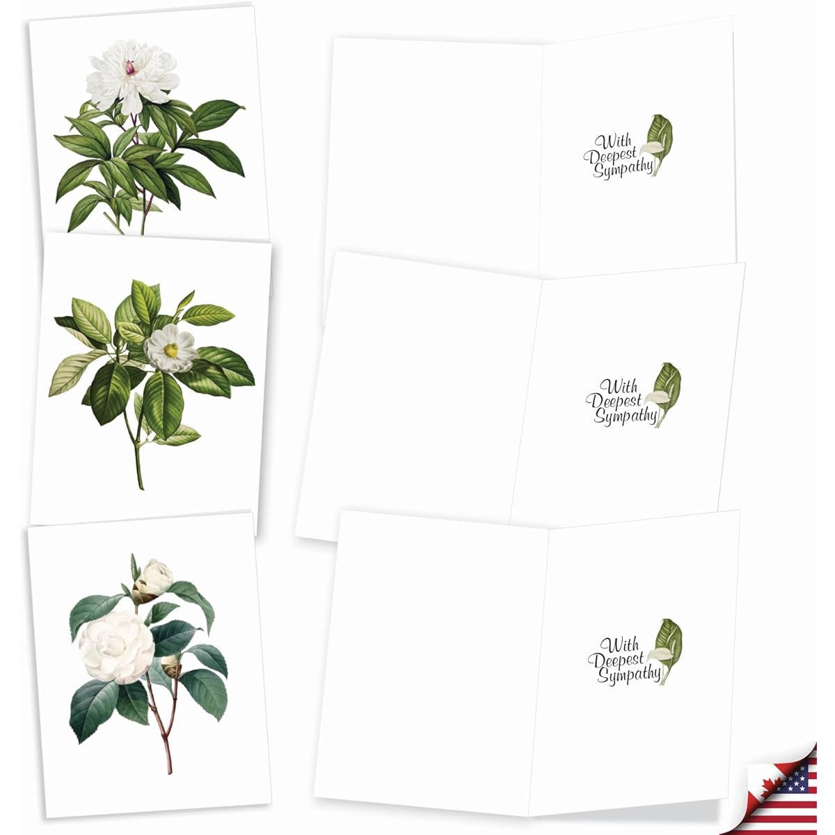 The Best Card Company Snow White Bloom - Boxed 20 Sympathy Notecards with Envelopes (10.4 x 10.9cm) - AM2818SMG-B2x10