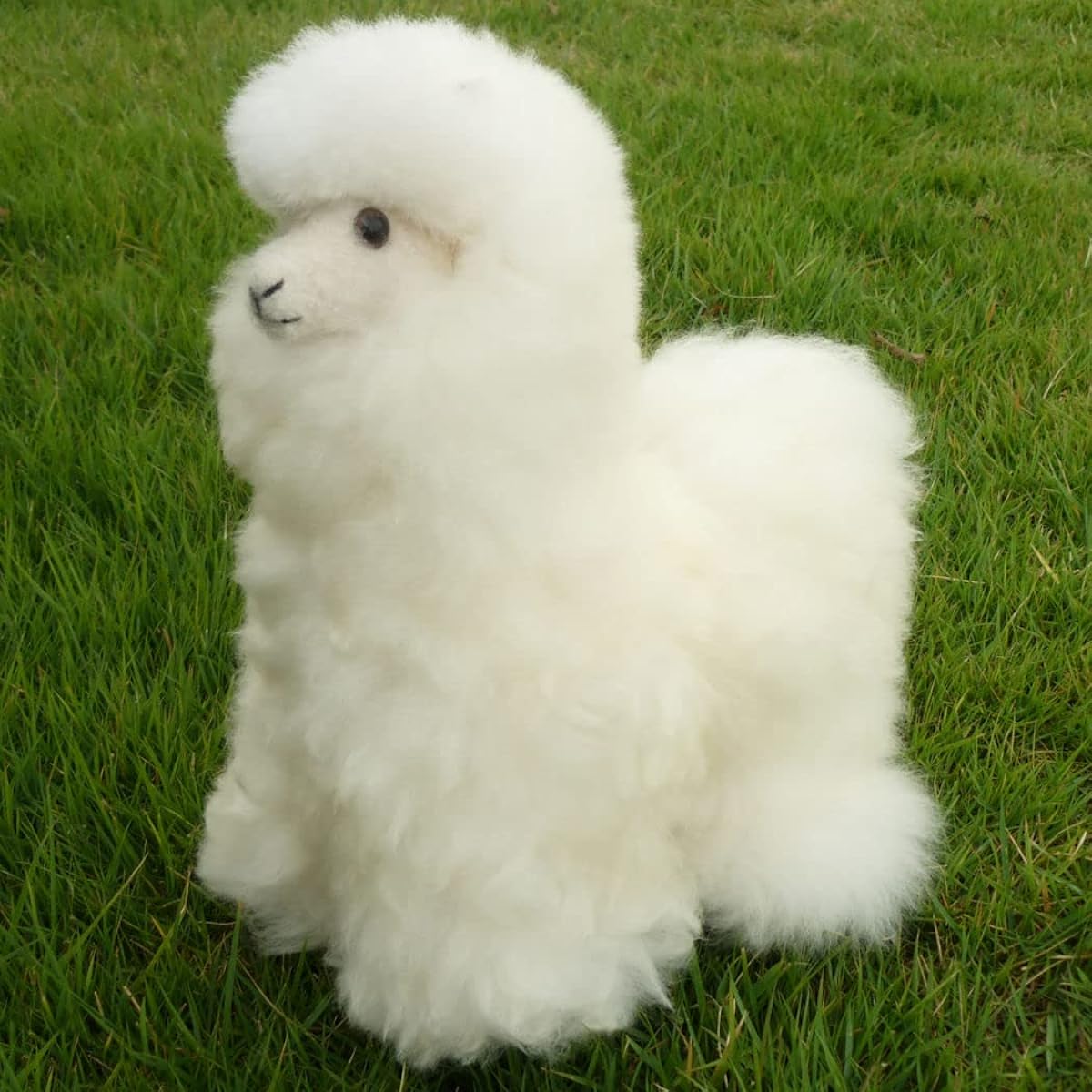 Height approx. 32cm Plush Alpaca Llama Baby Alpaca Fur Large 10A