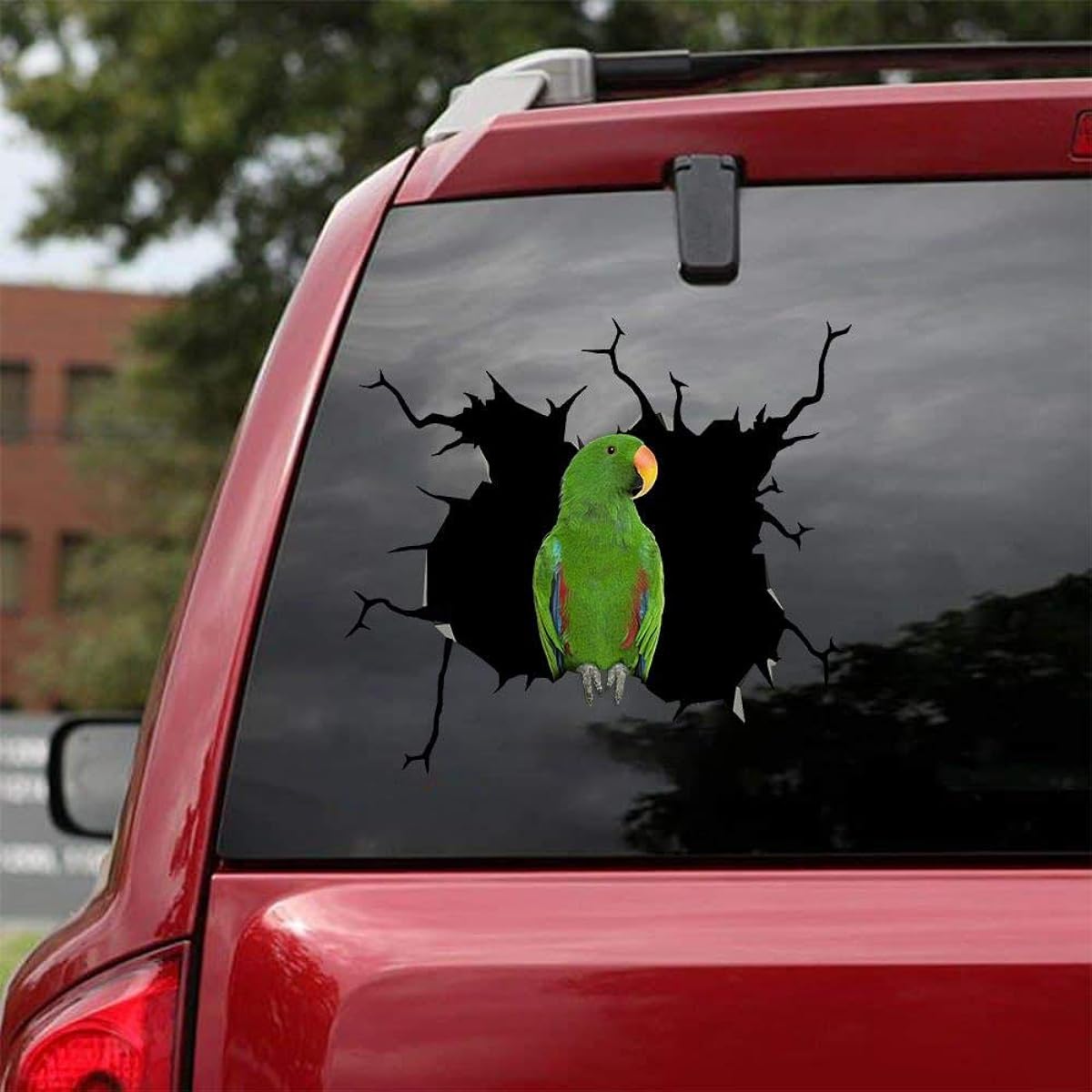 Ocean Gifts Green Eclectus Parrot Car Decal Wall Decal Sticker 2 Pack - Realistic Car Sticker Design Series 10 Sizes 12" x 12"
