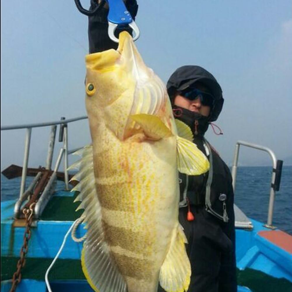 Fish Grip Aluminum Maximum Load 50kg Fish Grip Ocean Fish Grabber 2 Colors 29cm