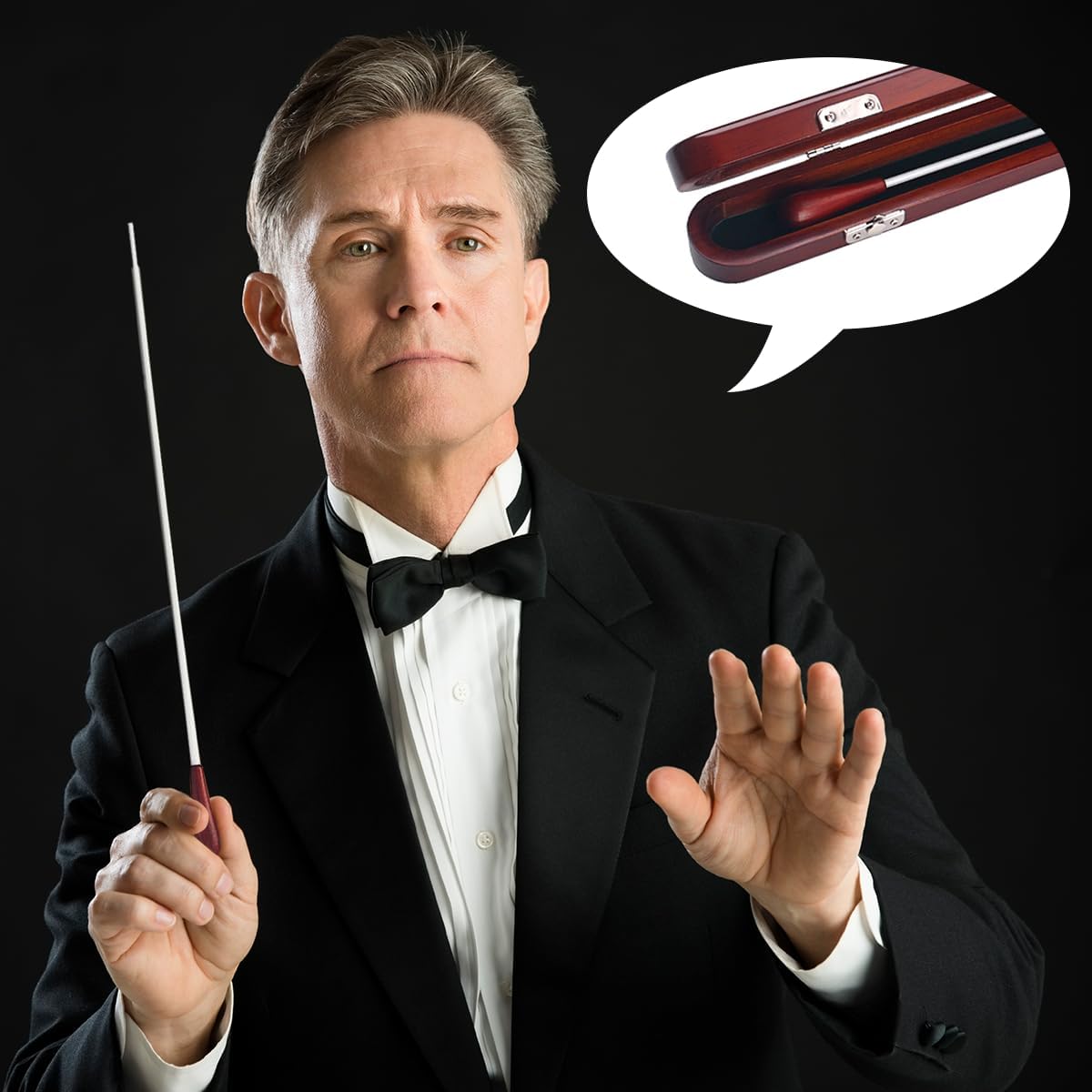 Ogdni Music Baton Orchestra Baton Wooden Handle Music Conducting Baton with Wooden Gift Box Redwood