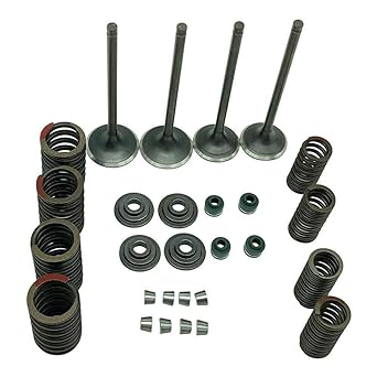 JINFANNIBI Cylinder Head Intake and Exhaust Valve Seal Spring Gasket Kit Compatible with Sportrax 400 TRX400EX TRX400X XR400R 400EX 1999-2014