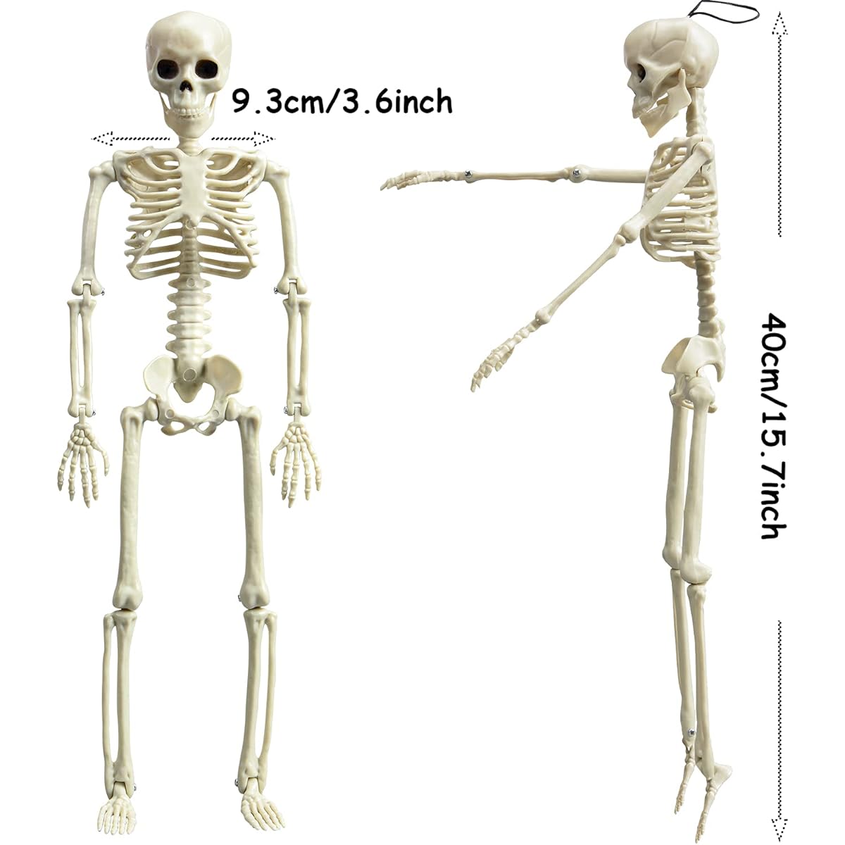 XONOR 16" Posable Halloween Skeleton - Full Body Halloween Skeleton with Movable Joints for Haunted House Prop Decoration (10 Pieces)