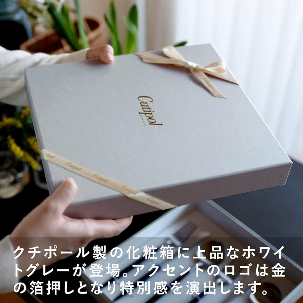 Genuine Cutipol GOA Black/Matte Silver Dinner (Knife/Fork/Spoon 2 each) 6-piece set with genuine ribbon hanger in white presentation box