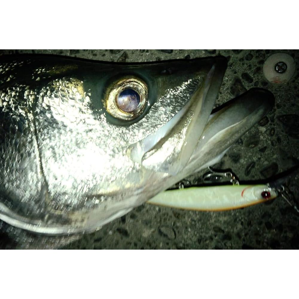 Pazdesig Lure reed Backwash BEYOND Backwash Beyond 110SP/110S