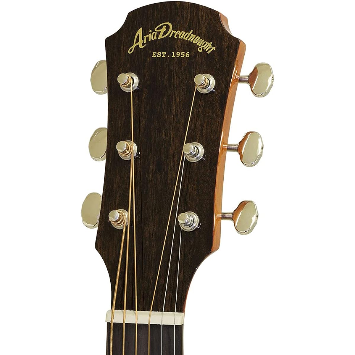ARIA AF-107CE FMN Electric Acoustic Guitar Aria