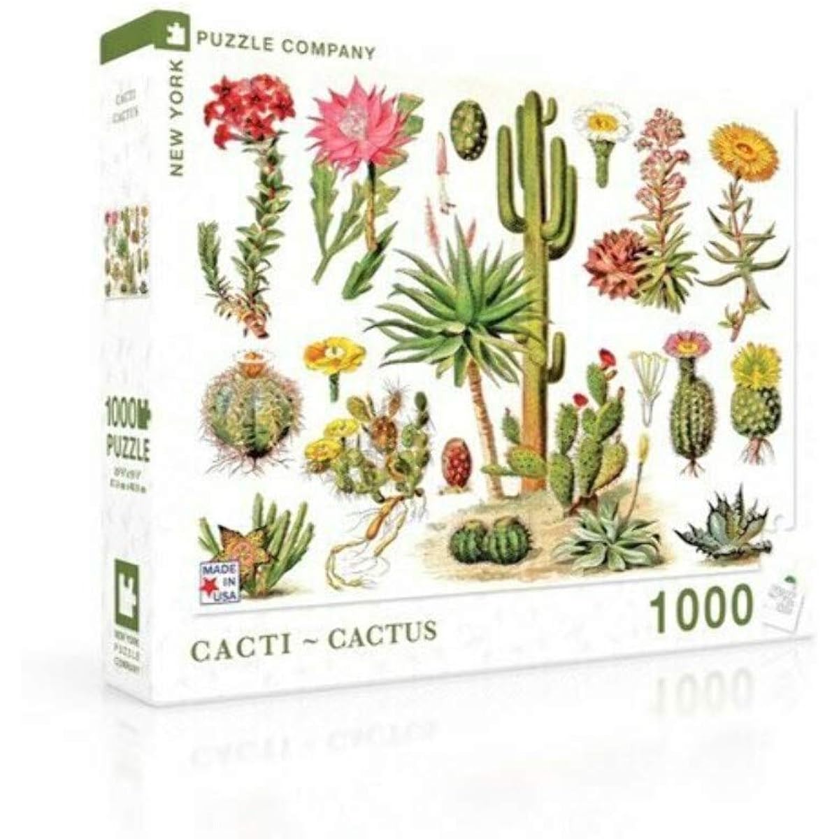 New York Puzzle Company - Vintage Images Cacti Cactus - 1000 Piece Jigsaw Puzzle