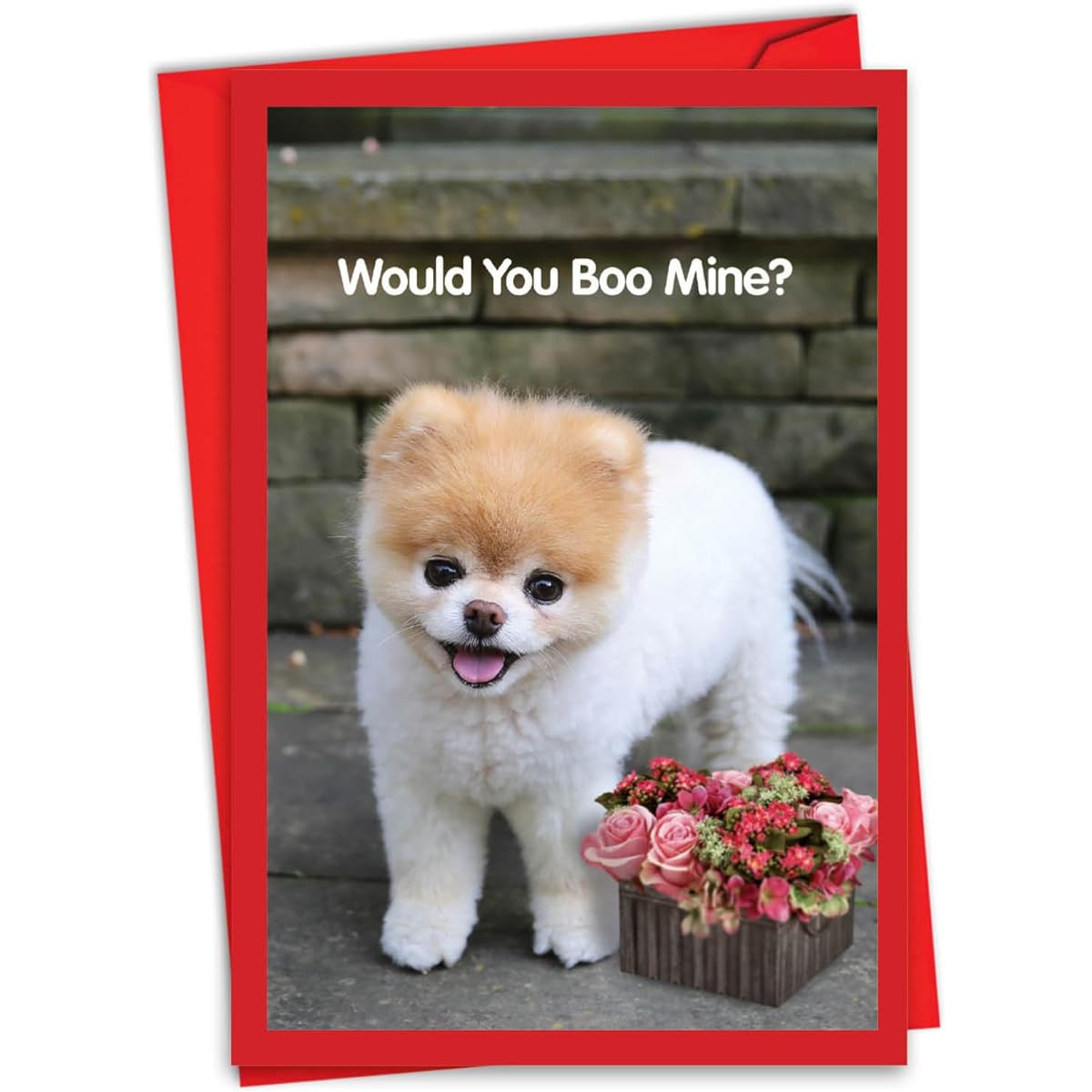 The Best Card Company Boo My Valentine - Valentine's Day Greeting Card with Envelope (4.63 x 6.75 Inches) - Boo The World's Cutest Dog C6754AVDG