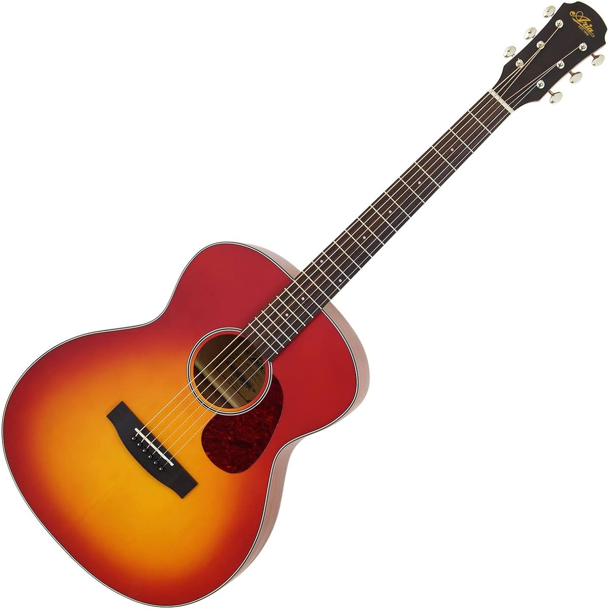 ARIA Aria-101 MTCS Acoustic Guitar Beginner Set 12-piece Set Matte Cherry Sunburst Matte Finish Aria