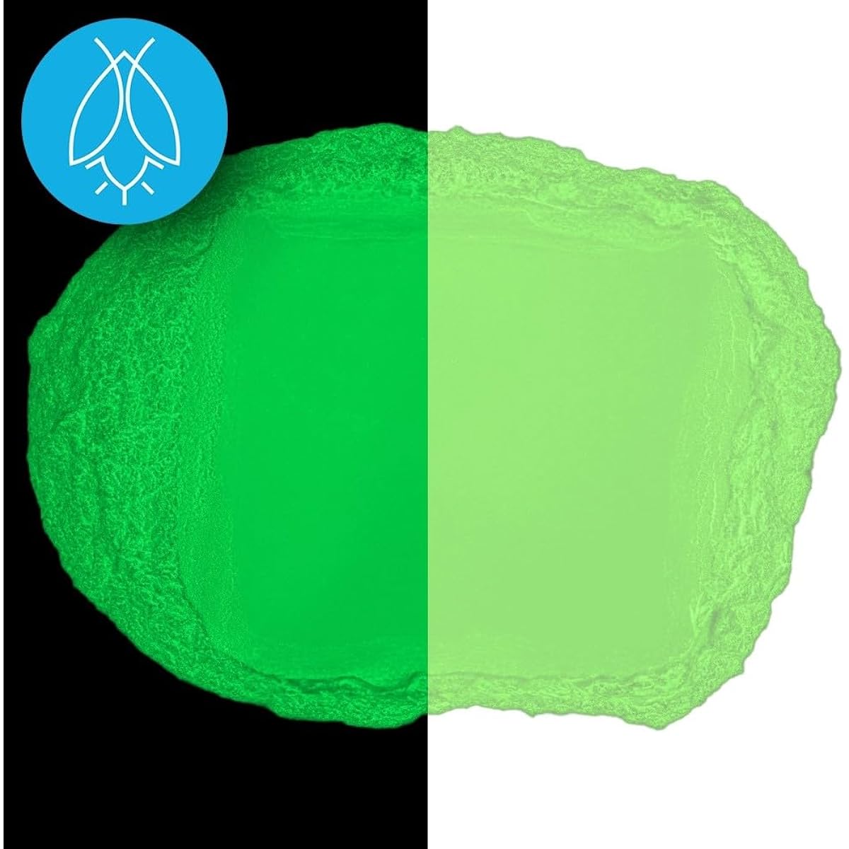 Glow in The Dark Pigment Powder - 240g (8oz) - Neutral and Fluorescent Colors (Fluorescent Green)