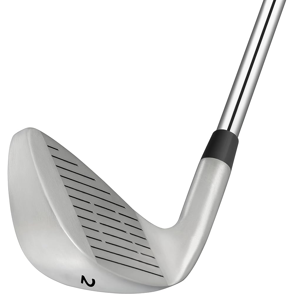 MAZEL WM-X1 Golf Club Iron Steel Shaft Set of 8/Single Item (Count: 1,2,3,4,5,6,7,8,9,AW,PW,SW) Men's Right/Left Flex :S No bag/club only