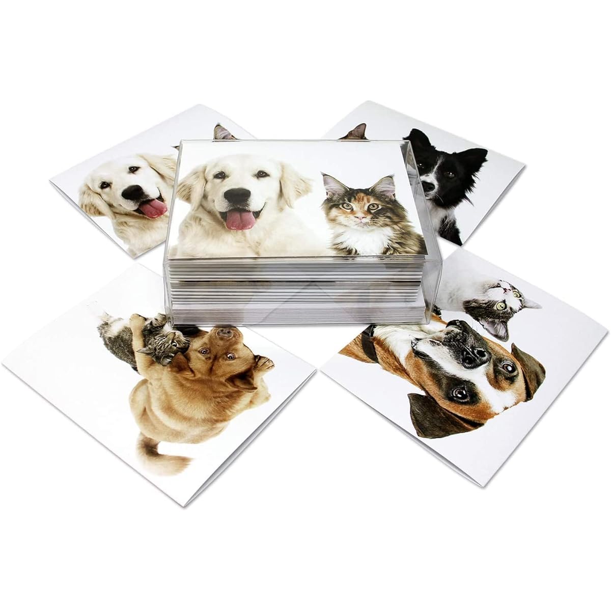 Small World Greetings Furry Friends Dog and Cat Greeting Cards - Blank Inside with White Envelopes - 4 Unique Designs - A2 Size (5.5"x4.25") - Pack of 24