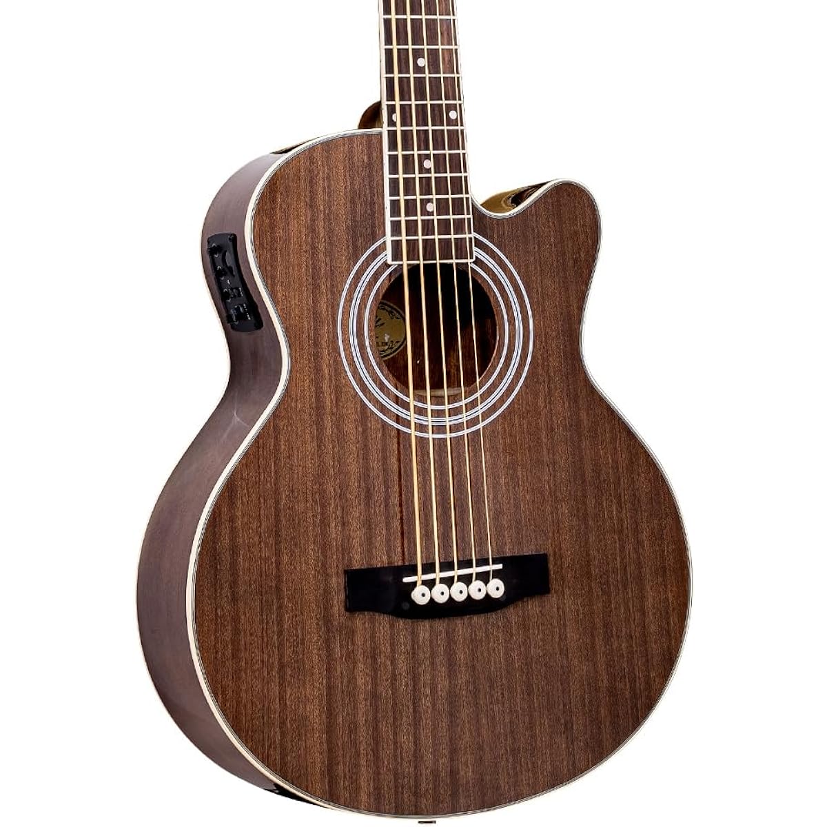 ELK EAB-5 TBK 5-string acoustic bass
