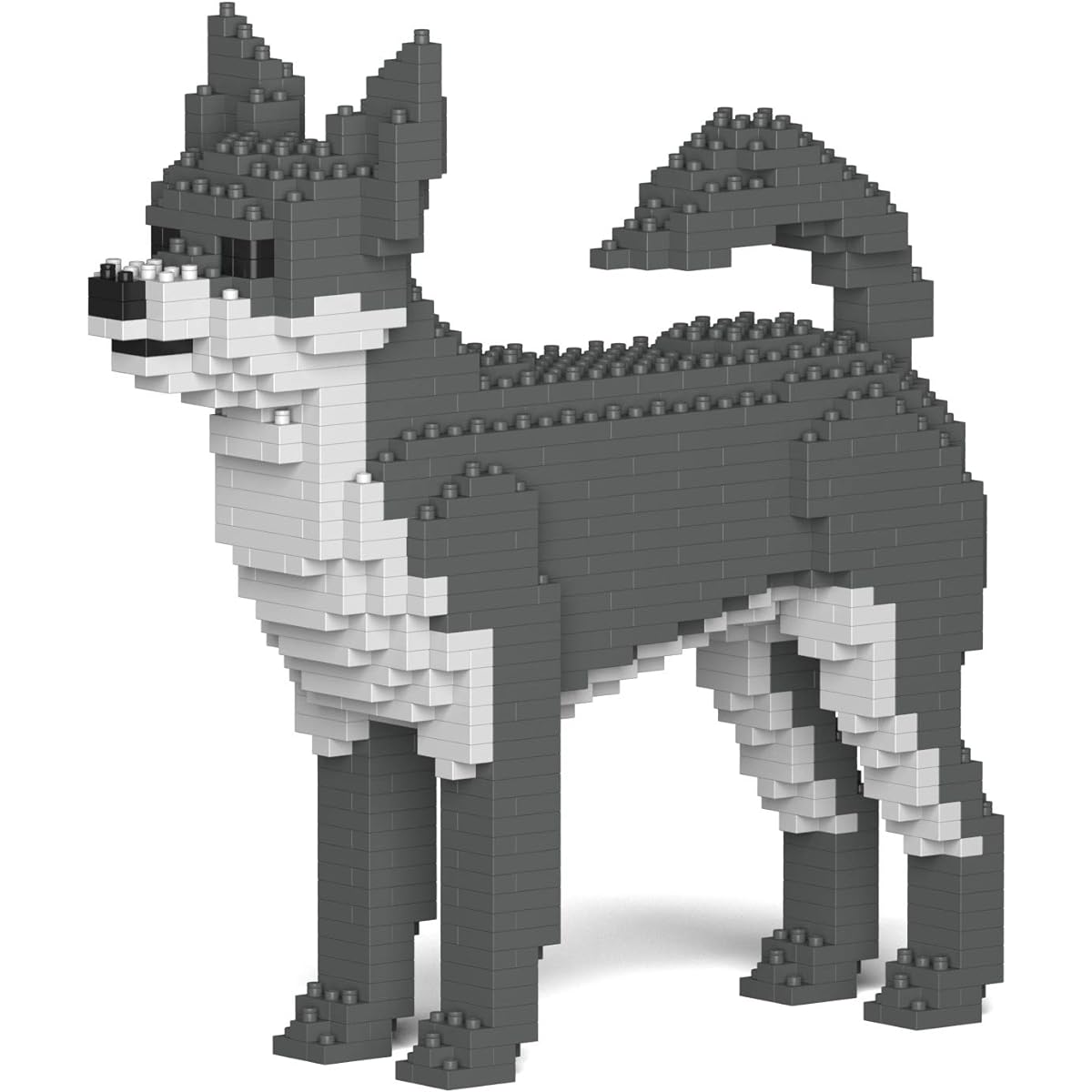 JEKCA Chihuahua 01S-M04