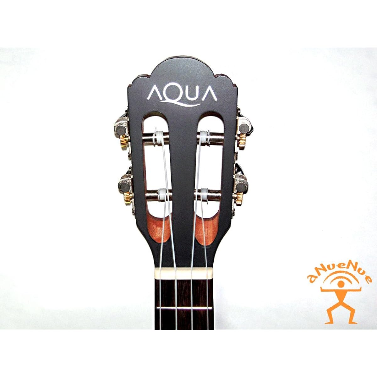 AQUA-CK2 concert