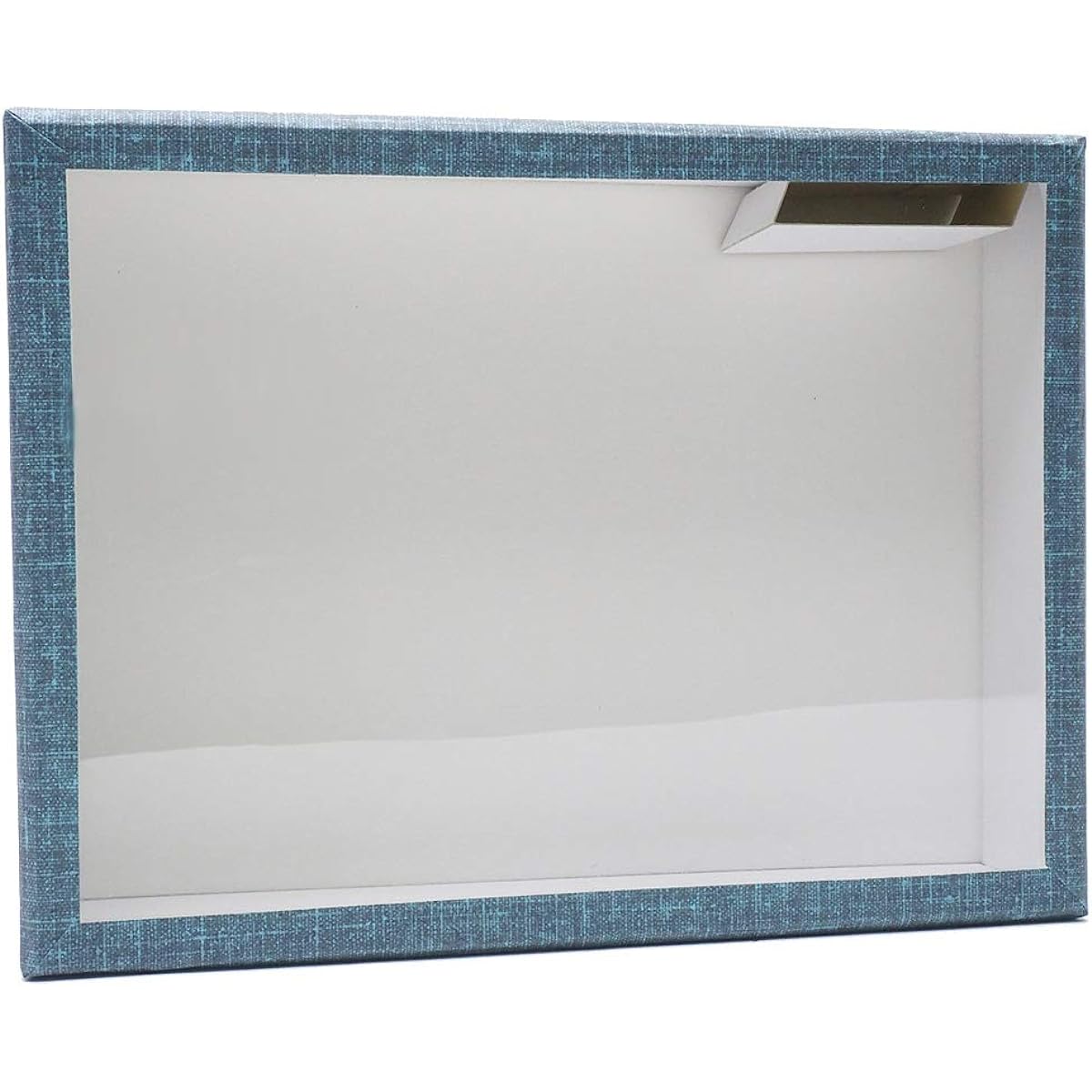 Insectec Shiga Cardboard Glass Lid Specimen Box [Large]