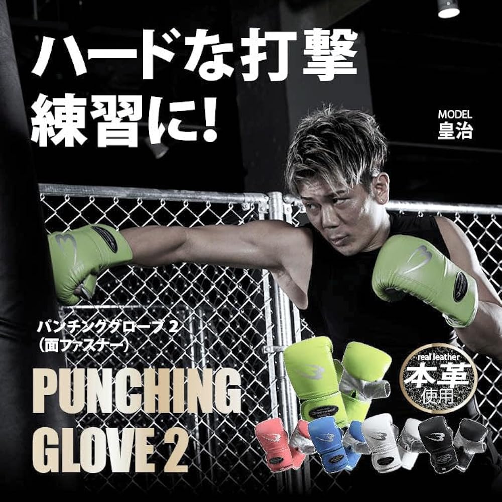 [BODYMAKER/Body Maker] Punching gloves 2 (velcro fastener) Black KG067