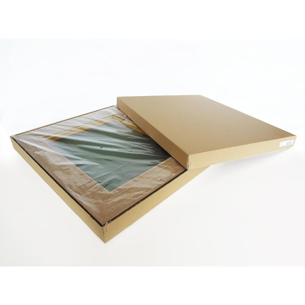 Daisen Picture Frame Oil Painting Frame 3383 F20 Natural Boxed A338V1001