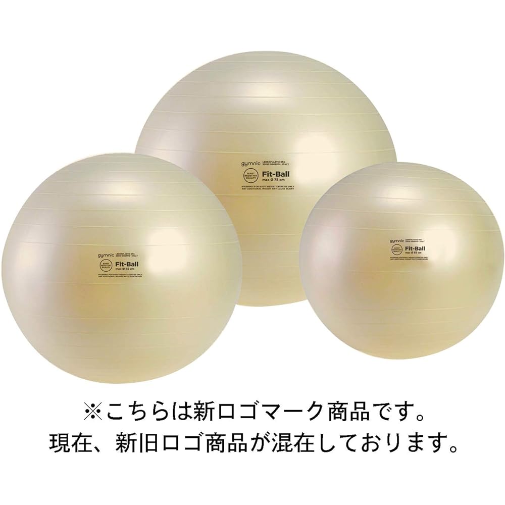 Gymnic Fit Ball 55 [Balance Ball Fit 55]