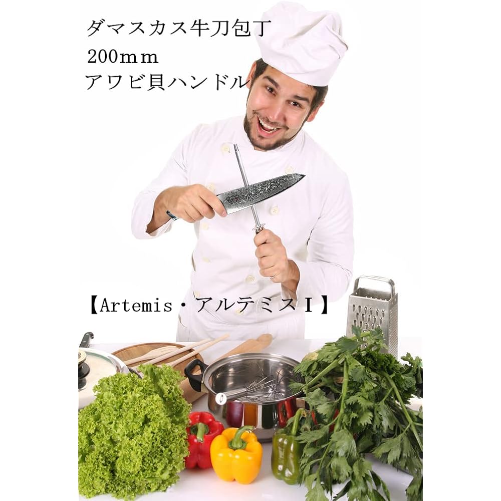 Centra Win Gyuto Knife [Artemis I] Damascus Knife Kitchen Knife Chef Knife Abalone Shell + Resin Handle