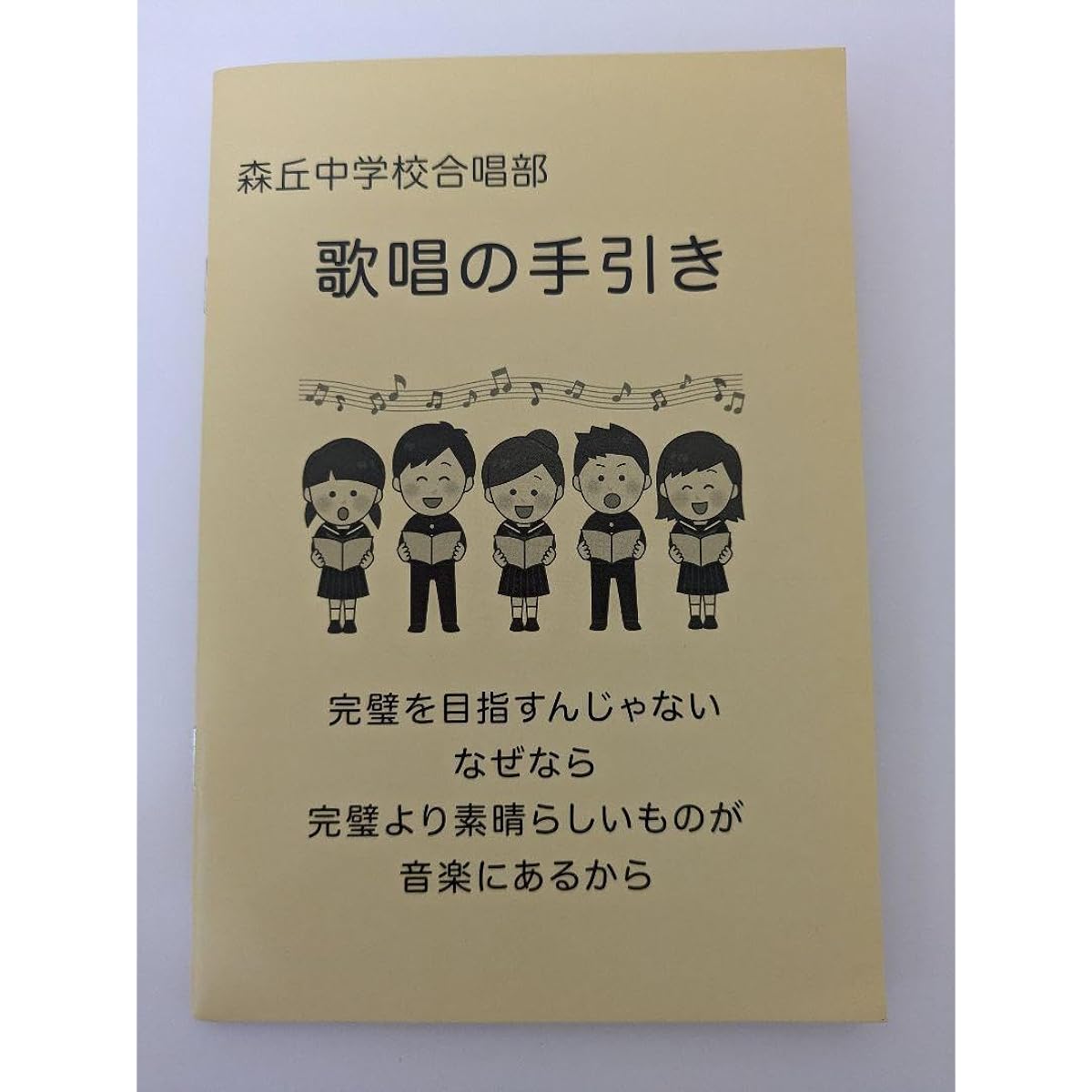 Karaoke Iko Singing Guide Taiwan Exclusive Admission Bonus Booklet Go Ayano Goods