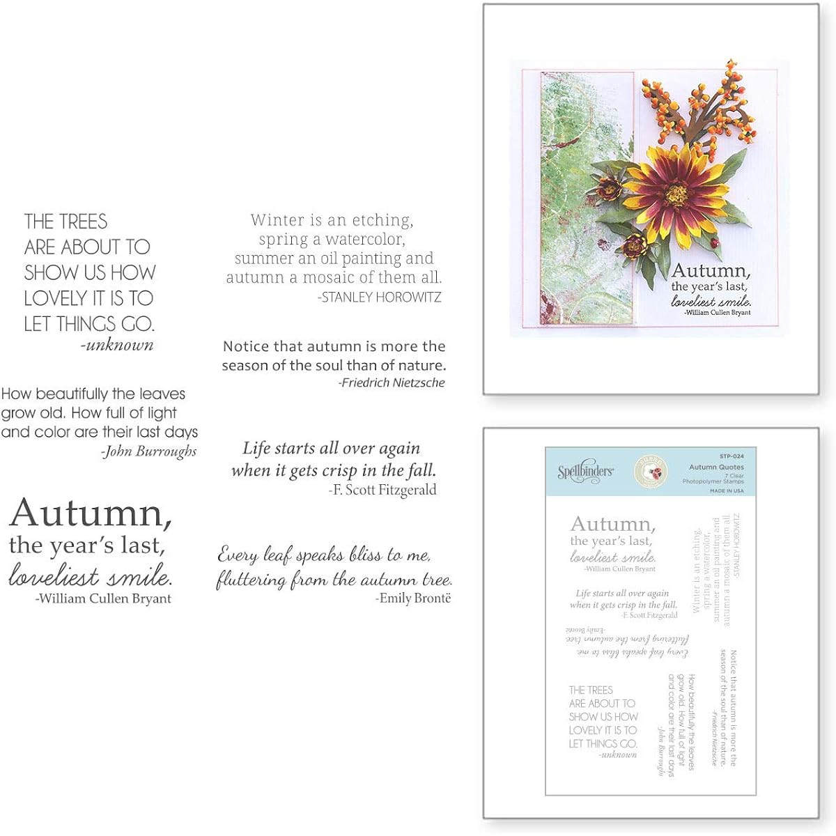 Spellbinders Stamp Autumn QUO Clear