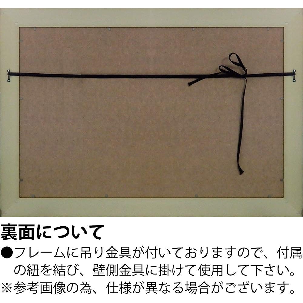 U-Power Art Frame/Modern Contemporary Multi Weight: Approx. 1.5kg Sam Toft Gel Art Frame ST-16020