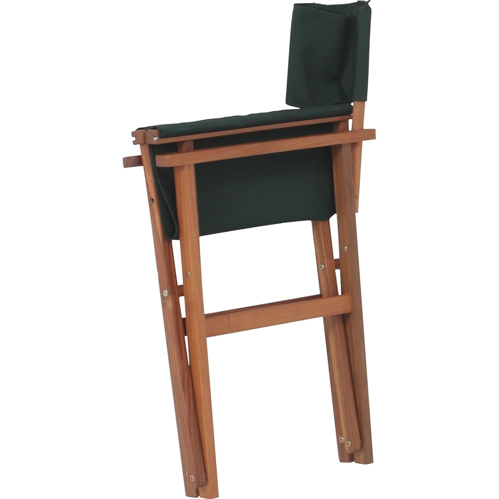 Fuji Boeki director chair green 79497