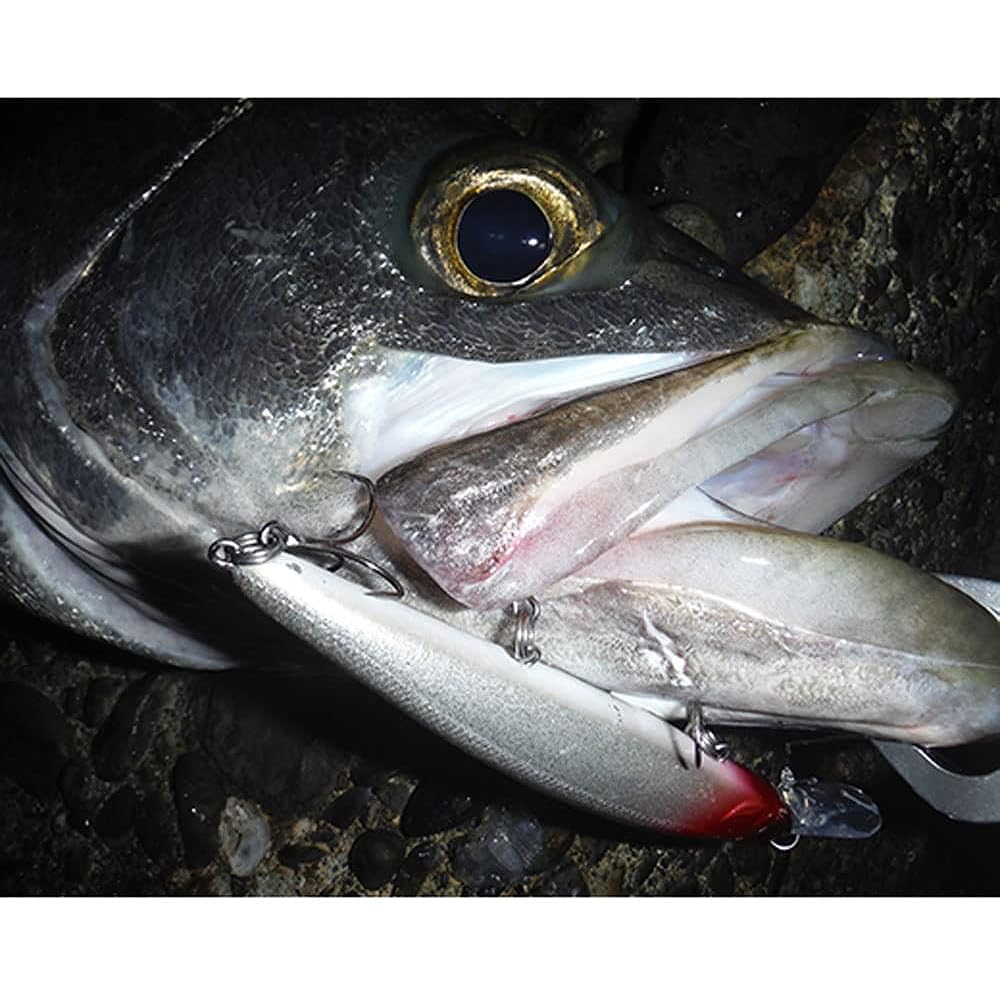 Pazdesig Lure reed Backwash BEYOND Backwash Beyond 110SP/110S